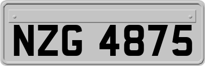 NZG4875