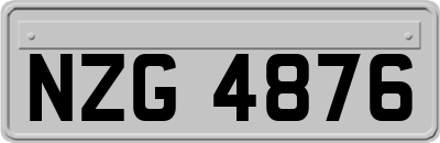 NZG4876