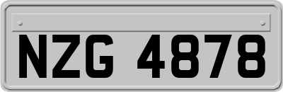 NZG4878