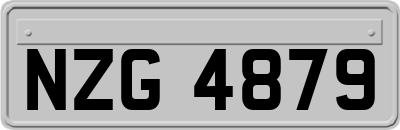 NZG4879
