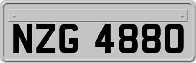 NZG4880