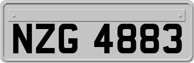 NZG4883