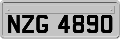 NZG4890