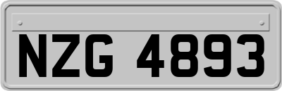 NZG4893