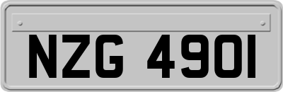 NZG4901