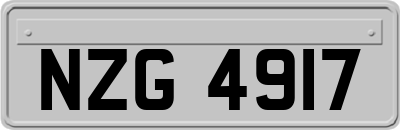 NZG4917