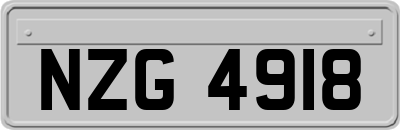 NZG4918