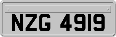 NZG4919