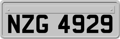 NZG4929