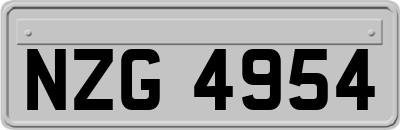 NZG4954