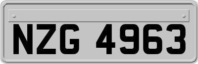 NZG4963