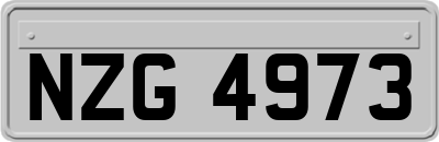 NZG4973