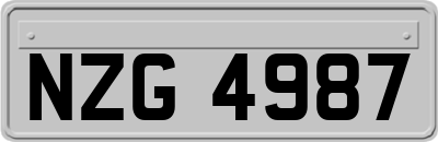 NZG4987