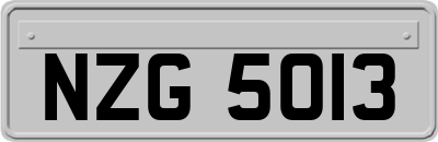 NZG5013