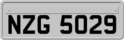 NZG5029