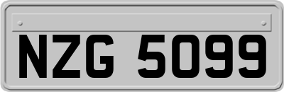 NZG5099