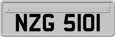 NZG5101