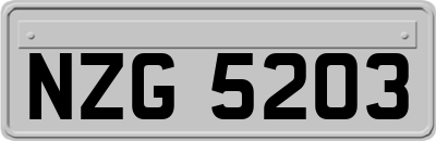 NZG5203