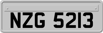 NZG5213