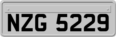 NZG5229