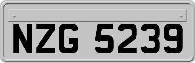 NZG5239