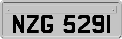 NZG5291