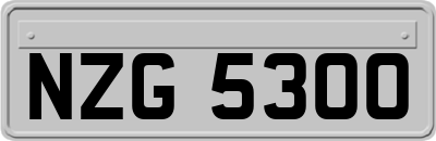 NZG5300