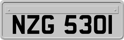 NZG5301