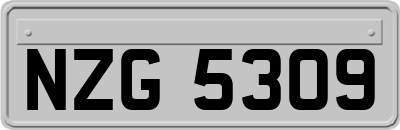 NZG5309