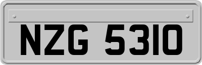 NZG5310