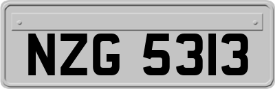 NZG5313