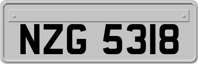 NZG5318