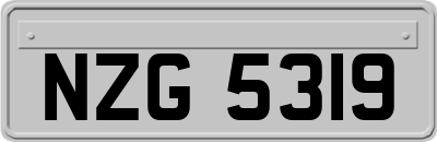 NZG5319