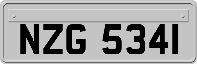 NZG5341