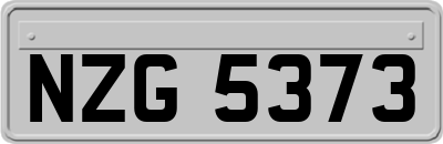 NZG5373