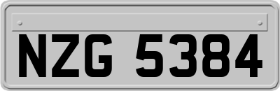 NZG5384