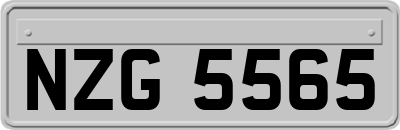 NZG5565