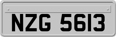 NZG5613