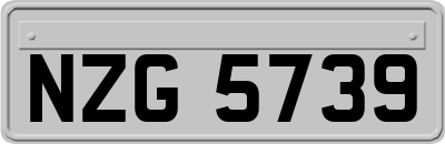 NZG5739