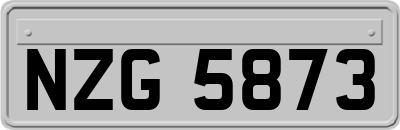 NZG5873