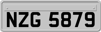NZG5879