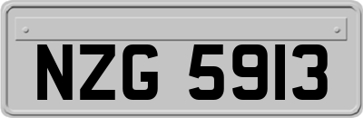 NZG5913