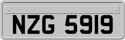 NZG5919