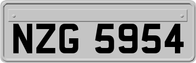 NZG5954