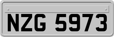 NZG5973