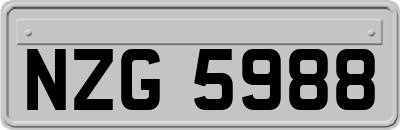 NZG5988