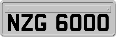 NZG6000