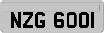 NZG6001