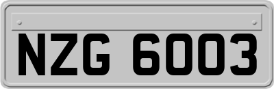 NZG6003