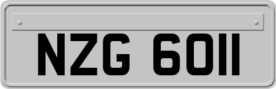 NZG6011